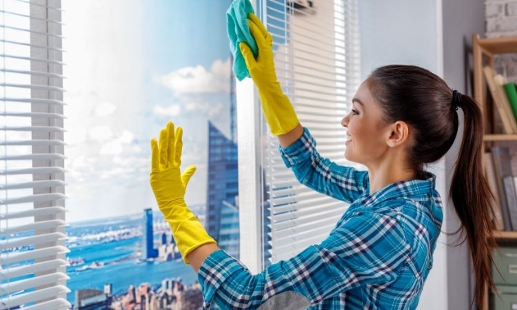 cleaning windows with an invisible grill